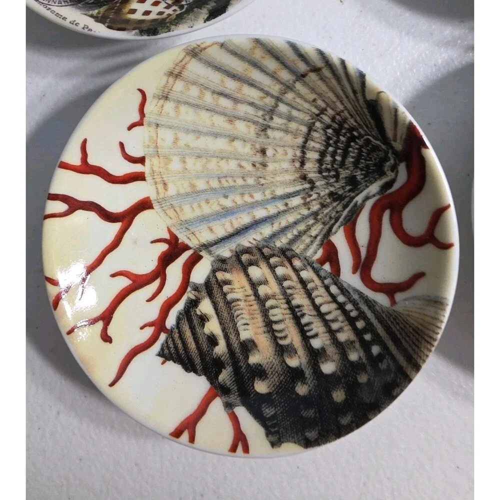 Pottery Barn Natural Curiosities Set of 4 Dipping Bowls Tabletop Nautical Theme